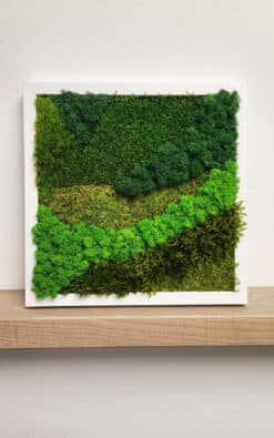 Premium slika od mahovine 28x28cm 1