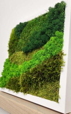 Alternative view of Premium slika od mahovine 28x28cm 1