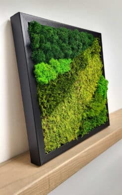 Premium slika od mahovine 28x28cm 2