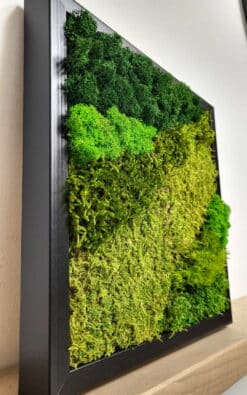 Alternative view of Premium slika od mahovine 28x28cm 2