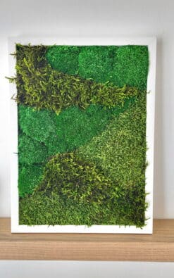 Premium slika od mahovine 39x29cm 1