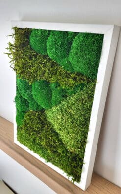 Alternative view of Premium slika od mahovine 39x29cm 1