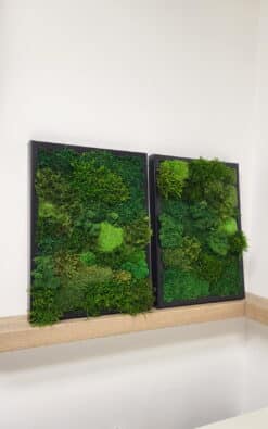 Alternative view of Premium slika od mahovine 39x29cm 2