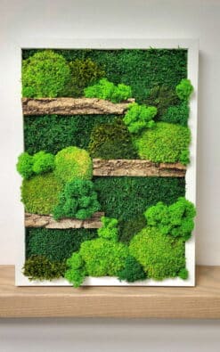 Premium slika od mahovine 39x29cm 3