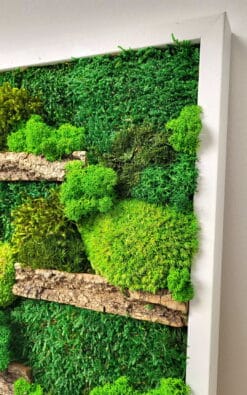 Alternative view of Premium slika od mahovine 39x29cm 3