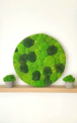 Premium slika od mahovine 50cm 1