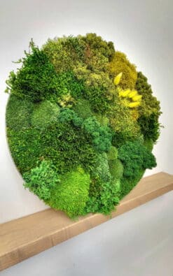 Alternative view of Premium slika od mahovine 50cm 2