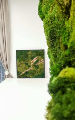 Premium slika od mahovine 52x52cm 1