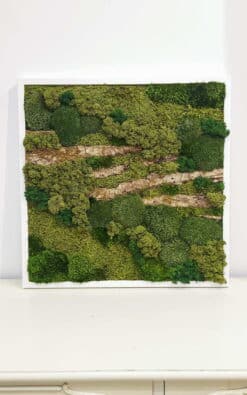 Alternative view of Premium slika od mahovine 52x52cm 2