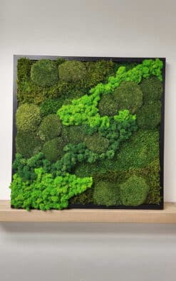 Premium slika od mahovine 52x52cm 3