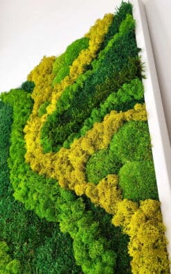 Alternative view of Premium slika od mahovine 92x62cm 1