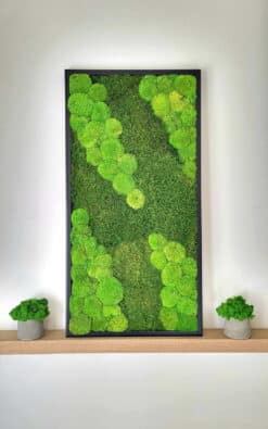 Premium slika od mahovine 82x42cm 1