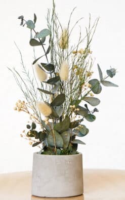Mala stona dekoracija od betona i prirodnih prezerviranih biljaka - Krem