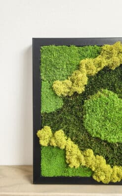 Alternative view of Premium slika od mahovine 28x28cm 4