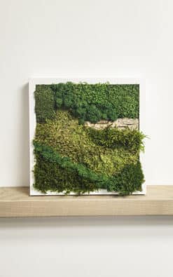 Premium slika od mahovine 28x28cm 7