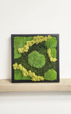 Premium slika od mahovine 28x28cm 4