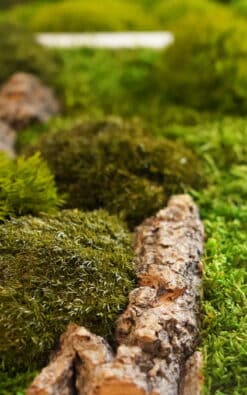 Alternative view of Standard slika od mahovine 39x29cm