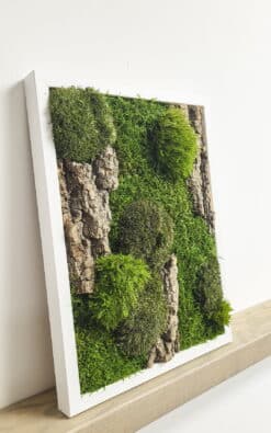 Standard slika od mahovine 39x29cm