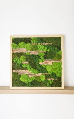 Premium slika od mahovine 50x50cm (2)