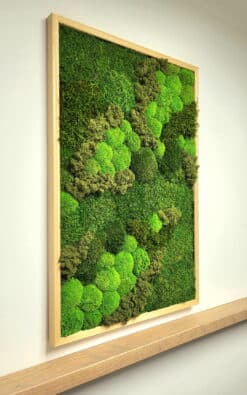 Alternative view of Premium slika od mahovine 90x60cm 1