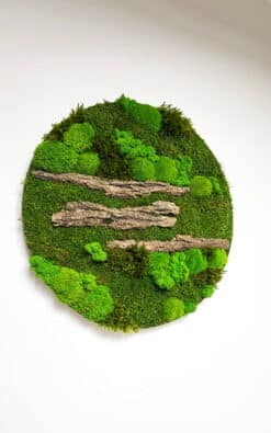 Premium slika od mahovine 50cm 3