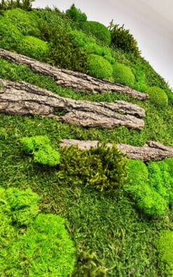 Alternative view of Premium slika od mahovine 50cm 3