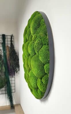 Premium slika od mahovine 59cm (1)