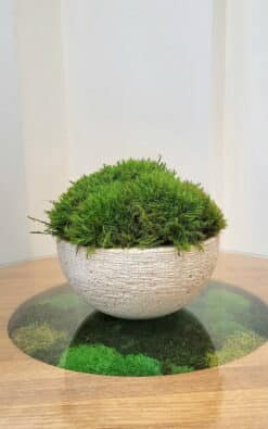 Alternative view of Stona dekoracija - Samson