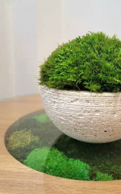 Stona dekoracija - Samson