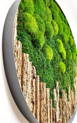 Premium slika od mahovine 59cm (2) - Slika 3